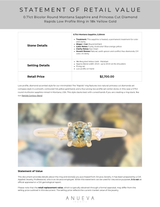 0.71ct Bicolor Round Montana Sapphire and Princess Cut Diamond Rapids Low Profile Ring in 18k Yellow Gold