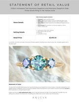0.92ct Unheated Teal Montana Sapphire and Montana Sapphire Side Three Stone Ring in 14k Yellow Gold
