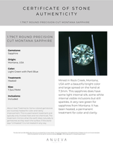 1.79CT ROUND PRECISION CUT MONTANA SAPPHIRE, LIGHT GREEN WITH PARTI BLUE, 7.3x4.71MM EARLY ACCESS