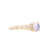 0.97ct Salt and Pepper Diamond and Princess Cut Diamond Rapids Low Profile Ring in 14k Yellow Gold