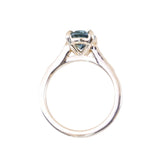 2.13ct Untreated Blue Madagascar Sapphire Vine Cathedral Four Prong Ring in 14k Yellow Gold