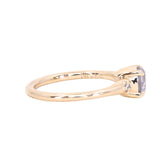 0.97ct Salt and Pepper Diamond and Princess Cut Diamond Rapids Low Profile Ring in 14k Yellow Gold