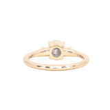 0.97ct Salt and Pepper Diamond and Princess Cut Diamond Rapids Low Profile Ring in 14k Yellow Gold