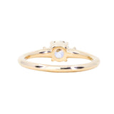 0.52ct Vintage Transitional Cut Diamond and Princess Cut Diamond Rapids Low Profile Ring in 14k Yellow Gold