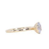 1.30ct Oval Silky White-Grey Oval Precision Cut Montana Sapphire Scallop Cup Solitaire in 14k Yellow Gold