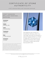 2.05CT HEXAGON BRILLIANT MONTANA SAPPHIRE, PERIWINKLE BLUE, UNTREATED, 7.5X6.5X5MM