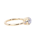 1.33ct Rosecut Grey Diamond and Princess Cut Diamond Rapids Low Profile Ring in 14k Yellow Gold