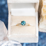 1.54ct Round Montana Sapphire Evergreen Carved Solitaire in 18k Yellow Gold