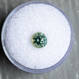 1.46CT ROUND SONGEA SAPPHIRE, COLOR SHIFTING GREEN TO GREY, 6.66X4.64MM UNTREATED