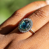 4.48ct Oval Cabochon Parti Sapphire and Blackened Halo ring in 18k Yellow Gold