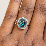 4.48ct Oval Cabochon Parti Sapphire and Blackened Halo ring in 18k Yellow Gold