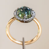 4.48ct Oval Cabochon Parti Sapphire and Blackened Halo ring in 18k Yellow Gold