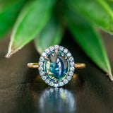 4.48ct Oval Cabochon Parti Sapphire and Blackened Halo ring in 18k Yellow Gold