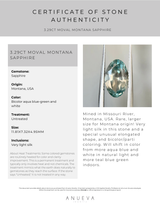 3.29CT MOVAL MONTANA SAPPHIRE, BICOLOR AQUA BLUE-GREEN AND WHITE, 11.81X7.32X4.95MM, UNTREATED