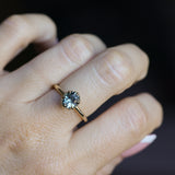 1.49ct Oval Untreated Montana Sapphire Scallop Cup Solitaire in 14k Yellow Gold