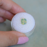 1.50CT CUSHION MADAGASCAR SAPPHIRE, OPALESCENT LIGHT GREEN AND GOLD, UNTREATED, 7.1X5.9X3.9MM