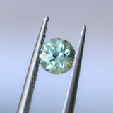 0.85CT ROUND PRECISION CUT MONTANA SAPPHIRE, LIGHT GREEN YELLOW, 5.55X3.70MM