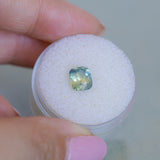 1.53CT ELONGATED CUSHION MADAGASCAR SAPPHIRE, LIGHT SEAFOAM TEAL AND YELLOW, UNTREATED, 7.3X5.8X4.1MM