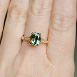 1.98ct Untreated Australian Elongated Cushion Cut Sapphire Vine Cathedral Four Prong Ring in 14k Yellow Gold