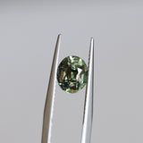 2.22CT OVAL MADAGASCAR SAPPHIRE, COLOR CHANGE OLIVE GREEN YELLOW TO PURPLE CHAMPAGNE, 7.59X6.31X5.45MM