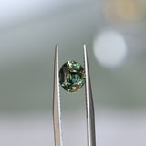 2.22CT OVAL MADAGASCAR SAPPHIRE, COLOR CHANGE OLIVE GREEN YELLOW TO PURPLE CHAMPAGNE, 7.59X6.31X5.45MM