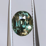 2.22CT OVAL MADAGASCAR SAPPHIRE, COLOR CHANGE OLIVE GREEN YELLOW TO PURPLE CHAMPAGNE, 7.59X6.31X5.45MM