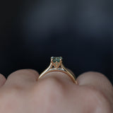 0.78ct Round Seafoam Teal Green Montana Sapphire Four Prong Lotus Solitaire in 14k Yellow Gold