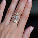 Starry Night Diamond Solitaire Low Profile - Setting