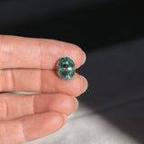 7.19CT OVAL MADAGASCAR SAPPHIRE, LIGHT-MEDIUM TEAL BLUE GREEN, 12.10X9.73X7.55MM - APPRAISED STONE