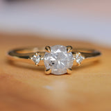 0.97ct Salt and Pepper Diamond and Princess Cut Diamond Rapids Low Profile Ring in 14k Yellow Gold