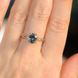 1.67ct Untreated Montana Sapphire Evergreen Carved 4 Prong Solitaire in Platinum