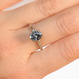 1.67ct Untreated Montana Sapphire Evergreen Carved 4 Prong Solitaire in Platinum