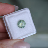 2.56CT ROUND PRECISION CUT MONTANA SAPPHIRE, PARTI YELLOW GREEN BLUE, 8.20-8.05X5.34MM