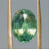 7.75CT OVAL MADAGASCAR SAPPHIRE, GREEN WITH YELLOW AND TEAL, 13.6X10.2X6.7MM