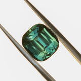 5.10CT UNTREATED CUSHION MADAGASCAR SAPPHIRE, FOREST GREEN, 9.9X9X6.7MM