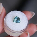 2.31CT TRILLION MONTANA SAPPHIRE, SOFT BLUE, 8.4MM - APPRAISED STONE