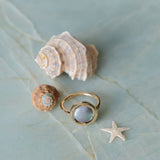 Cortez Pearls® Bezel Wave Rings in 14k Yellow Gold