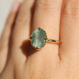 3.93ct Untreated Oval Seafoam Montana Sapphire Scallop Cup Solitaire in 14k Yellow Gold