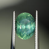2.82CT OVAL MADAGASCAR SAPPHIRE, CARIBBEAN TEAL GREEN WITH GROWTH LINES, 8.94X6.75X5.50MM