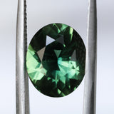 6.59CT OVAL MADAGASCAR SAPPHIRE, FOREST GREEN, UNTREATED, 12.5X10.1X6MM