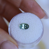 1.47CT OVAL MONTANA SAPPHIRE, AQUA BLUE GREEN, UNTREATED, 8X5.5MM
