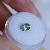 1.47CT OVAL MONTANA SAPPHIRE, AQUA BLUE GREEN, UNTREATED, 8X5.5MM