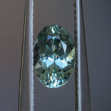 1.47CT OVAL MONTANA SAPPHIRE, AQUA BLUE GREEN, UNTREATED, 8X5.5MM