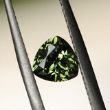 1.10CT AUSTRALIAN TRILLION SAPPHIRE, OLIVE GREEN, UNTREATED, 6MM