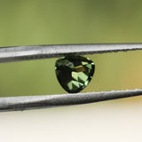 1.10CT AUSTRALIAN TRILLION SAPPHIRE, OLIVE GREEN, UNTREATED, 6MM