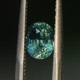 1.62CT OVAL MADAGASCAR SAPPHIRE, MEDIUM TEAL WITH GREEN, UNTREATED, 6.97X5.68X5.09MM