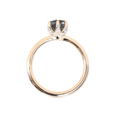 Diamond Studded Sea Star Low Profile Solitaire - Setting