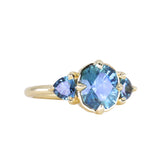 2.36ct Fancy Cushion Cut Montana Sapphire and Australian Sapphire Antique Compass Set Low Profile Ring in 18k Yellow Gold