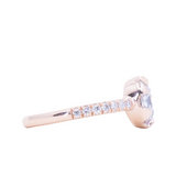 Low Profile Six Prong Solitaire with Pavé Set Diamonds- Setting