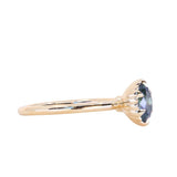 1.20ct Oval Untreated Montana Sapphire Scallop Cup Solitaire in 14k Yellow Gold